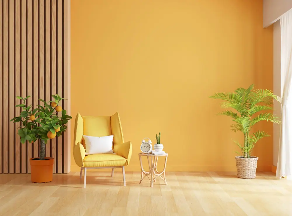 Interior Painting Service