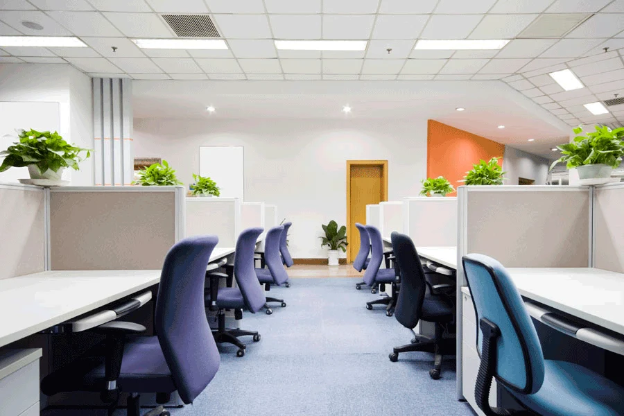 Office painting services qatar