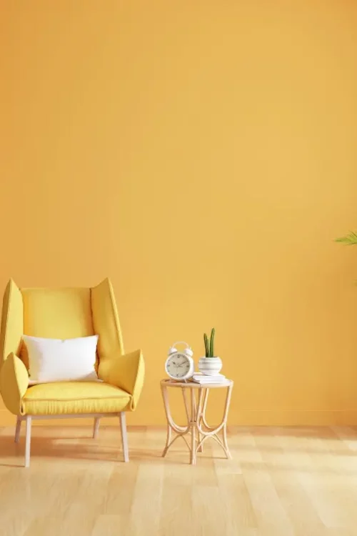 Interior Painting Service